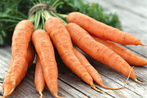 Продажа морквы Краснодар