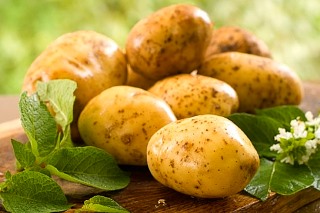 Картофель Картофель